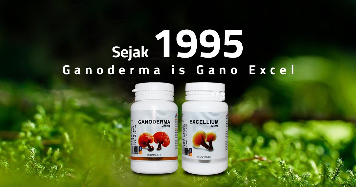 Terapi Ganoderma