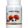 Ganoderma