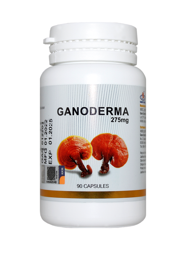 Ganoderma