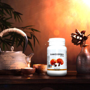 ganoderma-90-kapsul-new