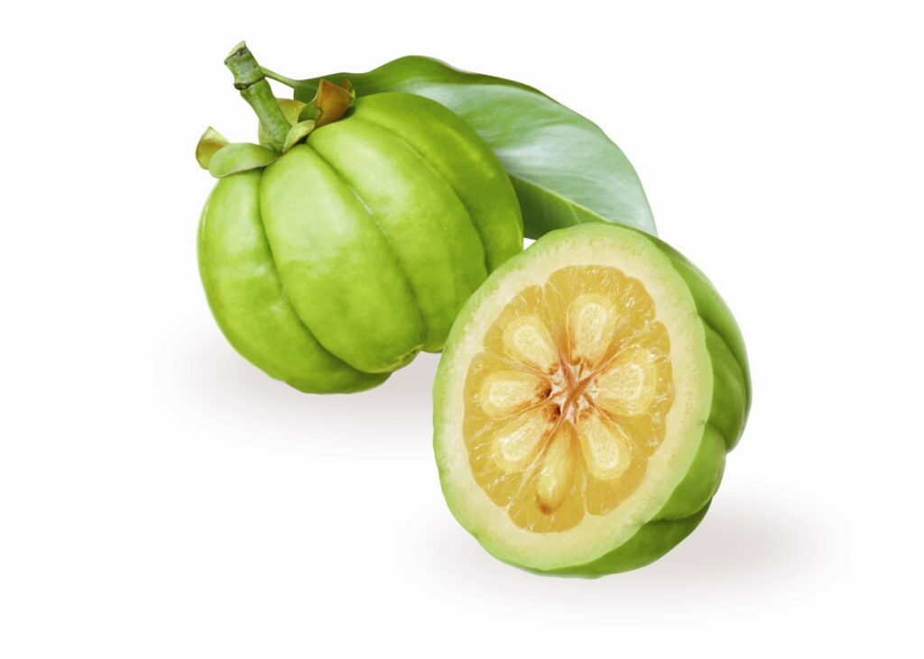 garcinia